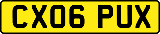 CX06PUX