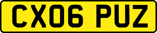 CX06PUZ