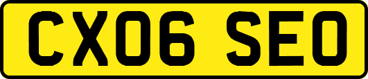 CX06SEO