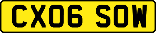 CX06SOW