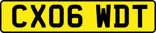 CX06WDT