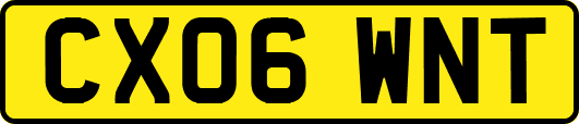 CX06WNT