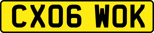 CX06WOK