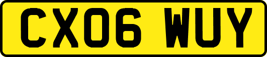 CX06WUY
