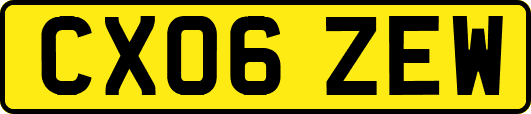 CX06ZEW