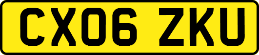 CX06ZKU