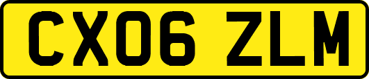 CX06ZLM