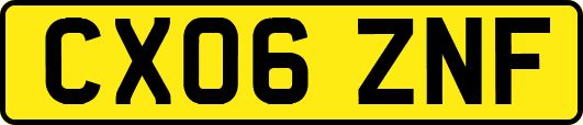 CX06ZNF
