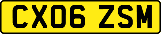 CX06ZSM