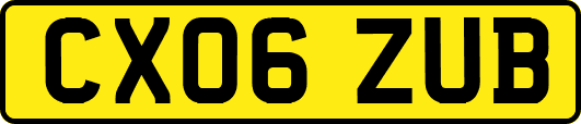 CX06ZUB