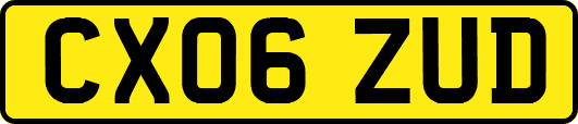 CX06ZUD