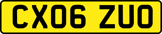 CX06ZUO