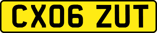 CX06ZUT