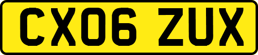 CX06ZUX