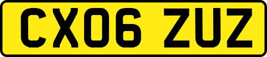 CX06ZUZ