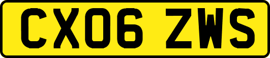 CX06ZWS