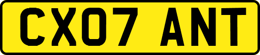 CX07ANT