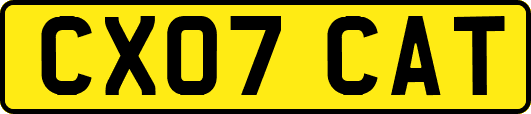 CX07CAT