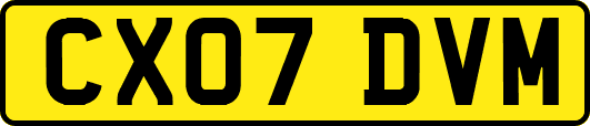 CX07DVM