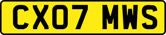 CX07MWS