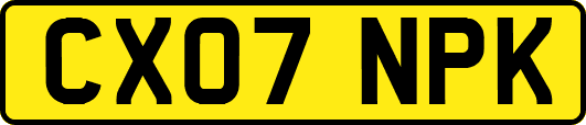 CX07NPK