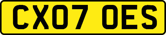 CX07OES