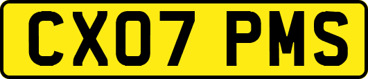 CX07PMS
