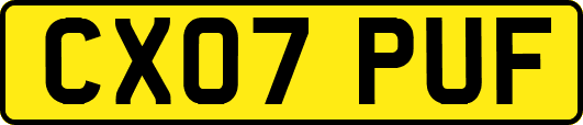 CX07PUF