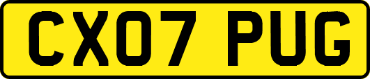 CX07PUG