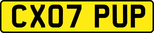 CX07PUP