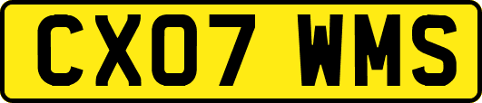 CX07WMS
