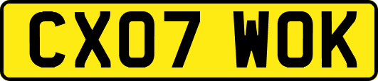 CX07WOK