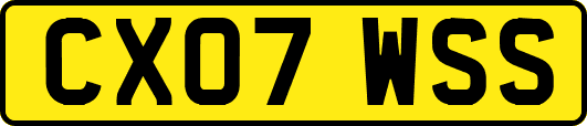 CX07WSS