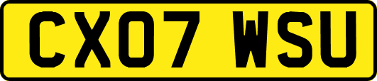 CX07WSU