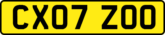 CX07ZOO