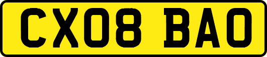 CX08BAO