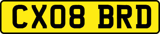 CX08BRD