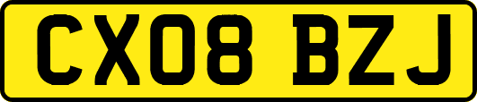CX08BZJ