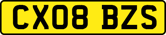 CX08BZS