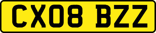 CX08BZZ