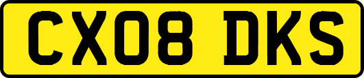 CX08DKS