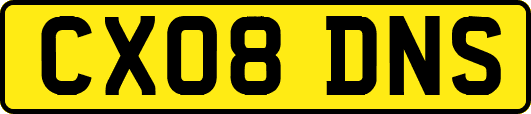CX08DNS