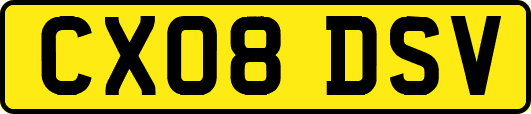 CX08DSV