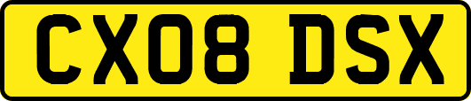 CX08DSX