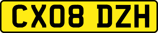 CX08DZH