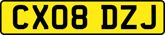 CX08DZJ