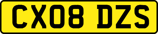 CX08DZS