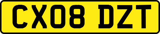 CX08DZT