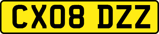 CX08DZZ