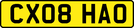 CX08HAO